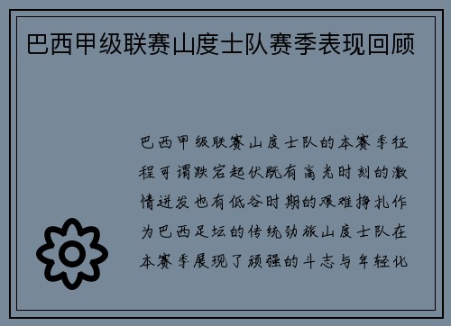 巴西甲级联赛山度士队赛季表现回顾